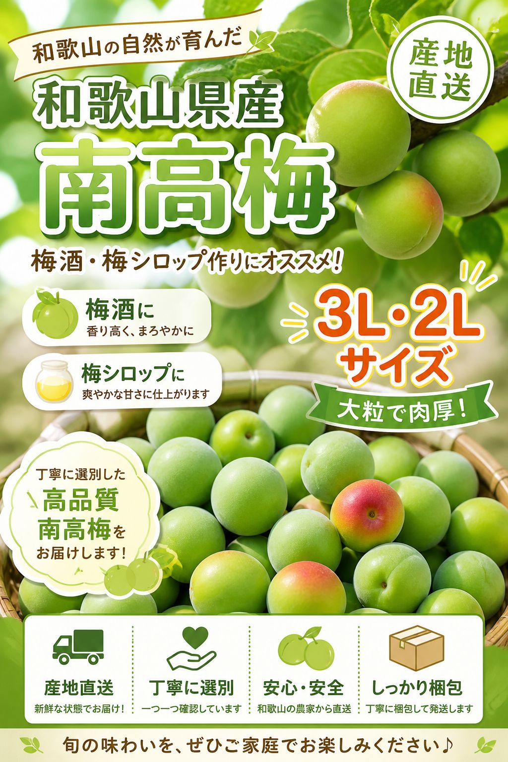 紀州南高梅 10kg 家庭用 5/20以降発送 - メルカリ