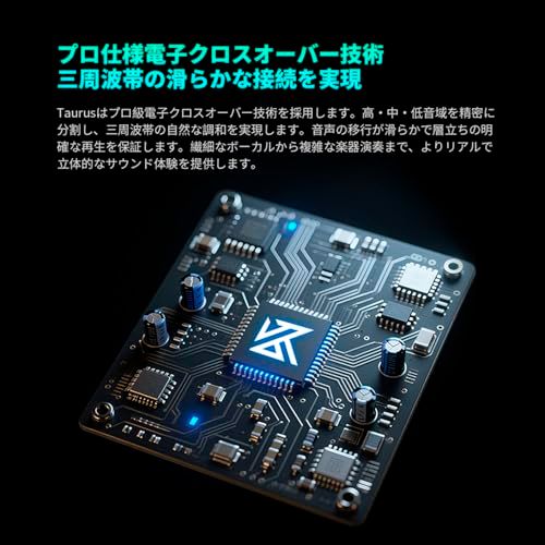 KZ Taurus kz イヤモニ イヤホン ゲーミングイヤホン カナル型 イヤホン2DD 横並びデュアルドライバー インイヤーイヤフォン 8mm水平デュアルダイナミックコイル 横方向カテーテル構造/プロフェッショナル級音響カーブ/HDデュアルマイク 2pin