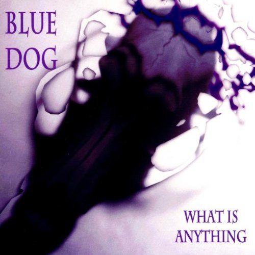 【CD】What Is Anything
