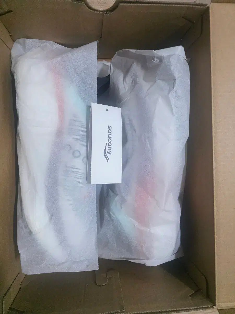 Saucony サッカニー エンドルフィン エリート2 300mm 出品