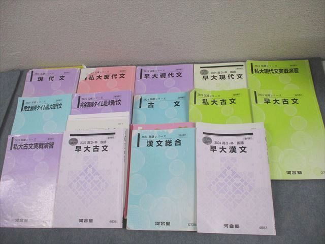河合塾 早稲田大学 早大・私大コース 国語 現代文/漢文/古文 テキスト通年セット 2024 計14冊 福田睦子 113L0D