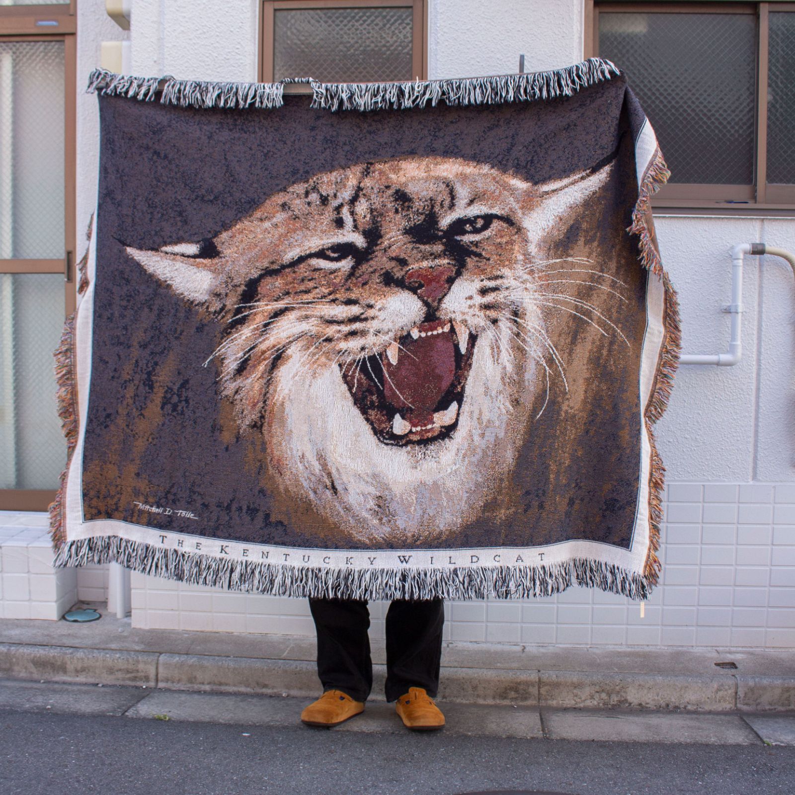 The Kentucky Wild Cat Cotton Blanket ラグ ブランケット 古着 ヴィンテージ
