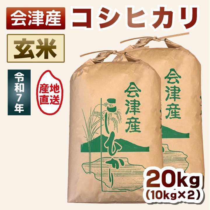 食品 コシヒカリ 玄米 20kg 令和6年福井県産