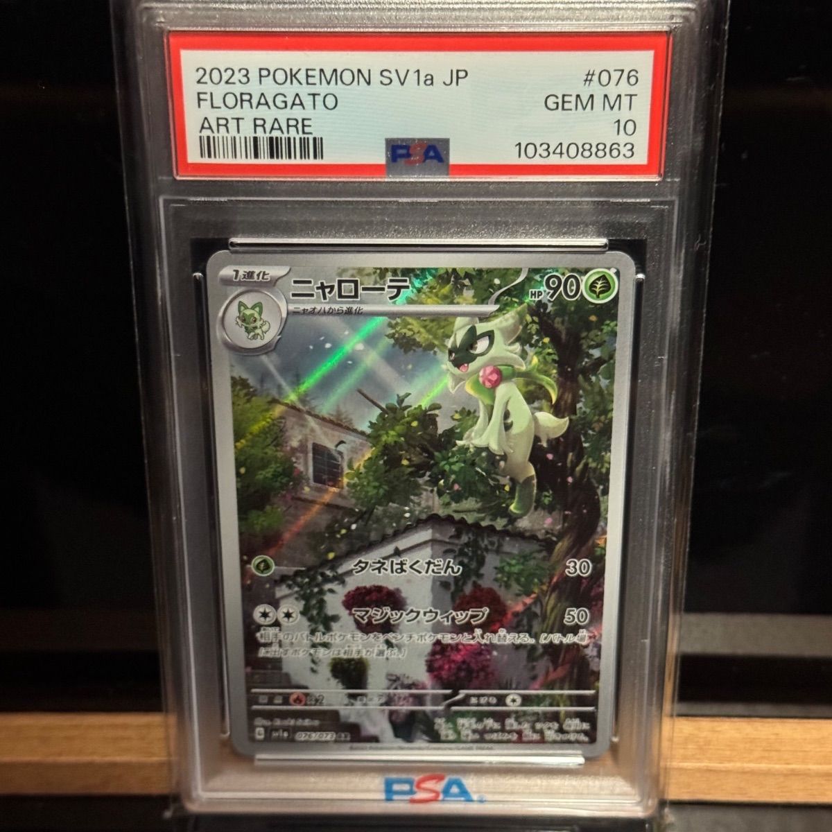 3連番特価 マスカーニャ進化ラインpsa10 売りです 【公式通販】 PSA10 SAR マスカーニャex ポケモンカードゲーム