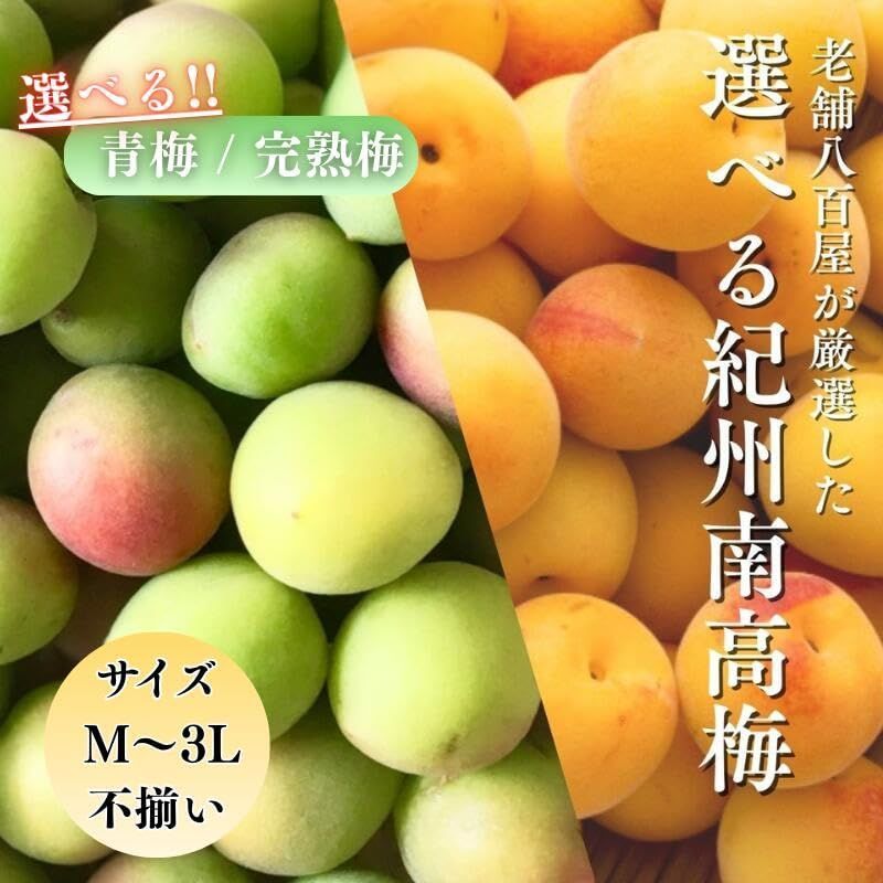 みさわのやさい] 訳あり南高梅 青梅 2kg 和歌山県産 - メルカリ