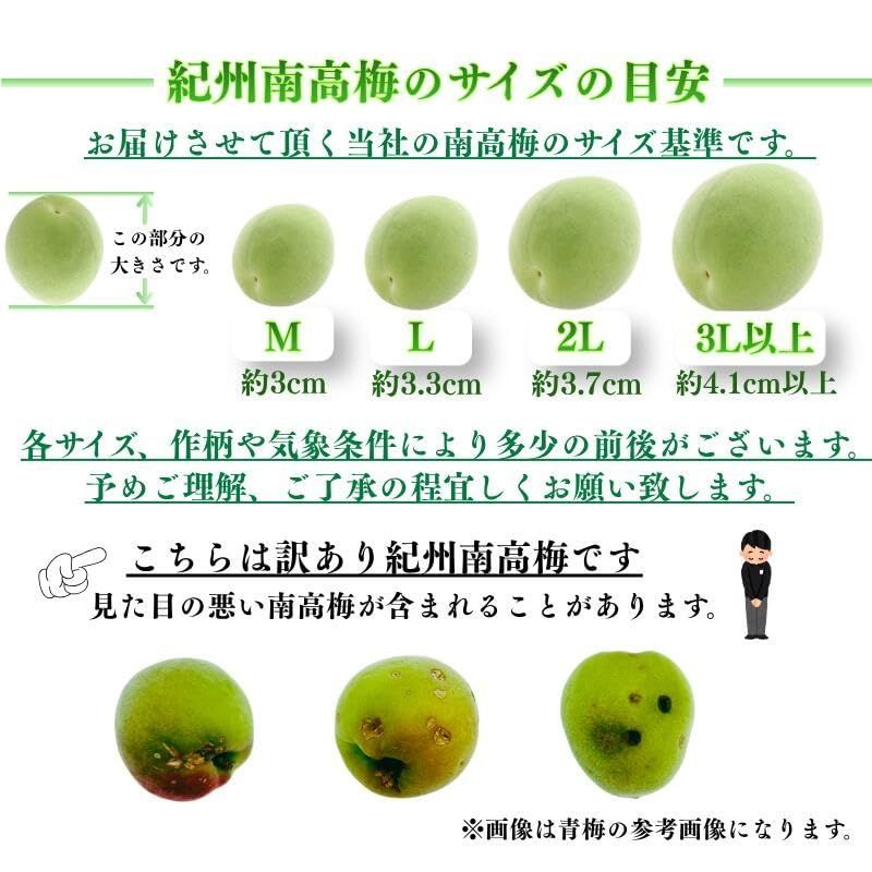 みさわのやさい] 訳あり南高梅 青梅 2kg 和歌山県産 - メルカリ