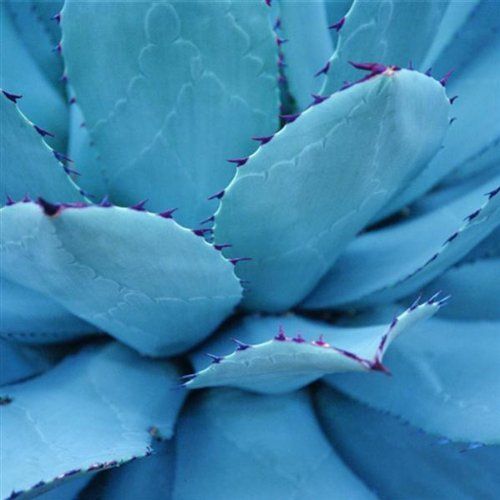 (CD)Onko／Mika Vainio