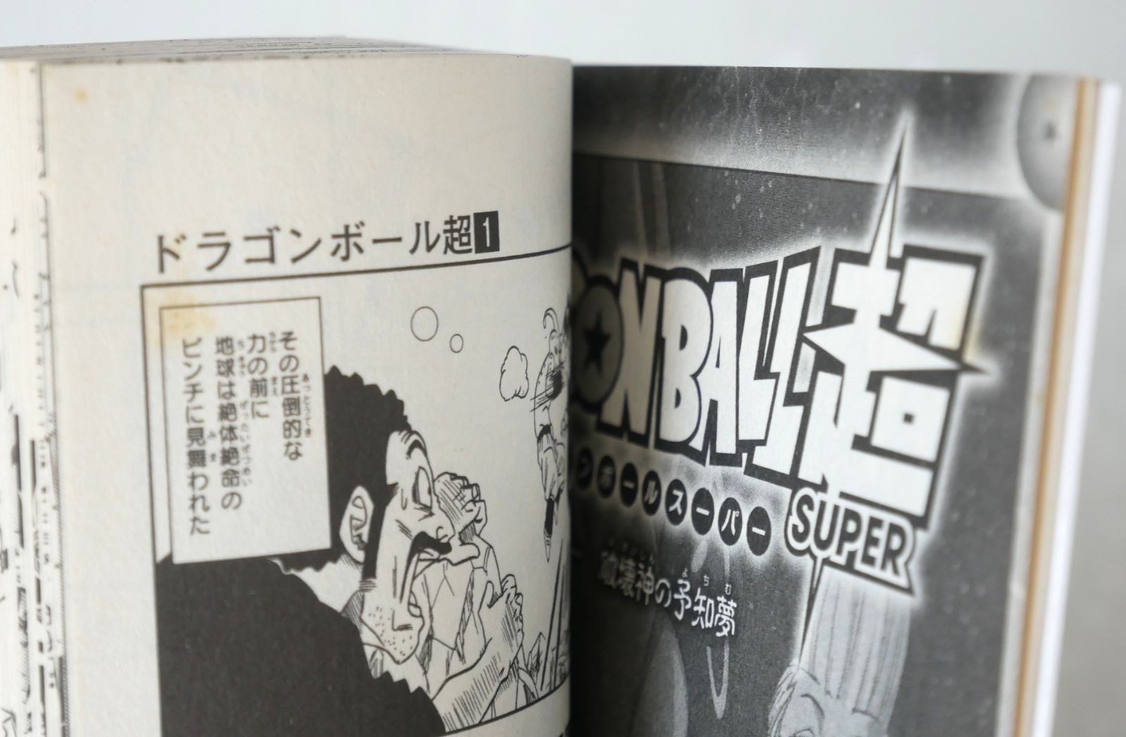 シミなどのダメージあり) ドラゴンボール超 1-24巻 セット (著) とよた