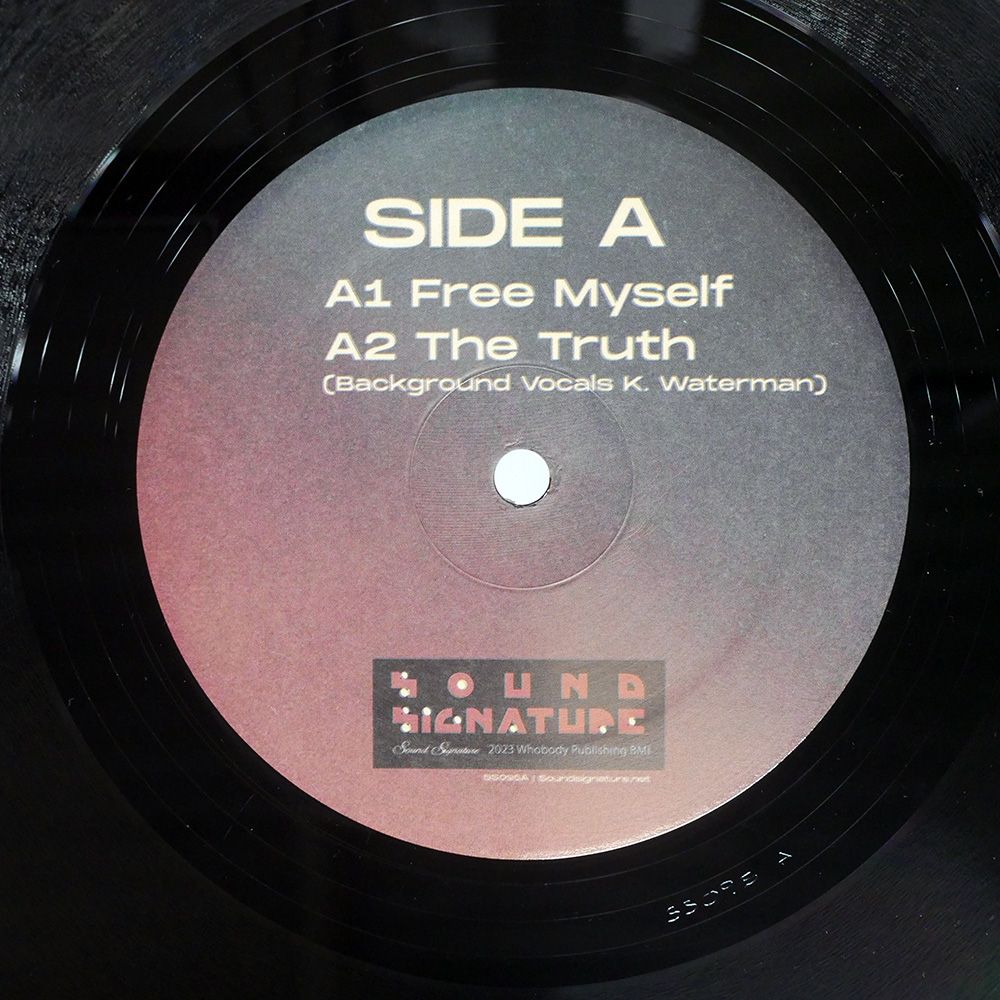 US盤 THEO PARRISH/FREE MYSELF/SOUND SIGNATURE SS095/96/97 LP US盤 THEO PARRISH/FREE MYSELF/SOUND SIGNATURE SS095/96/97 LP