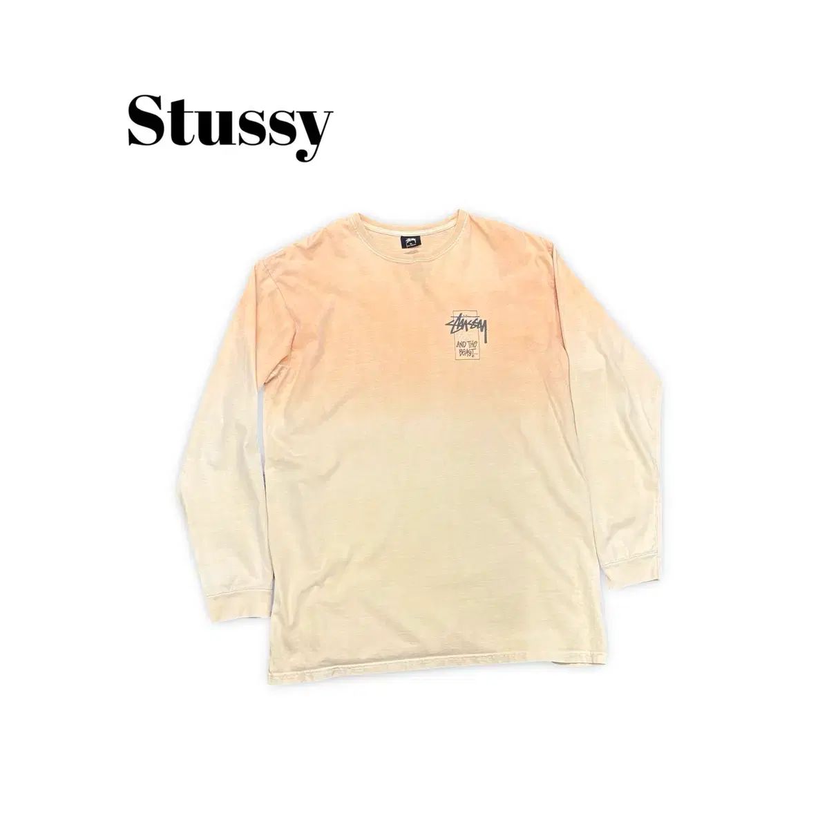 (100) STUSSY ビューティーアンドザビースト スリーブ