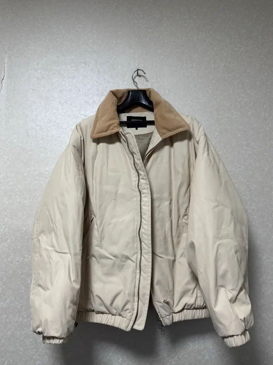 正規品) SYSTEM homme ダウン (ほぼ新品)