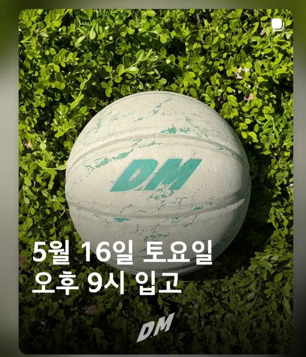동マン バスケットボール