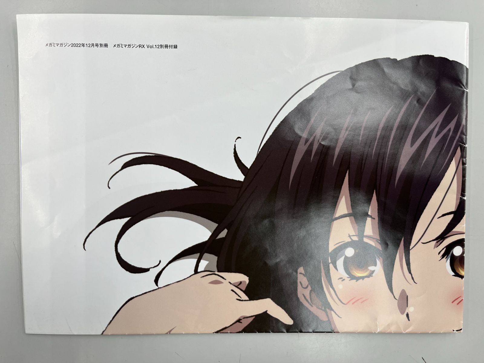 メガミマガジンRX vol.12 2022年12月 シュリンク付き ◇【中古】メガミマガジンRX Vol.12 2022年 12 月号 - メルカリ