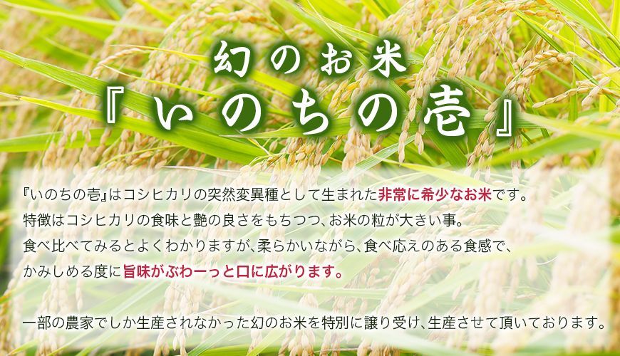 幻の米 令和7年産 いのちの壱 10kg 送料無料 - メルカリ