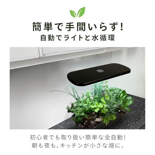 水耕栽培キット 簡単操作・水耕栽培セット。・LED植物成長ライト・自動水循システム・植物に最適な生育環境を提供し、室内で手軽に家庭栽培を楽しめます [ ASLT ] (ブラック)kk 8faac884