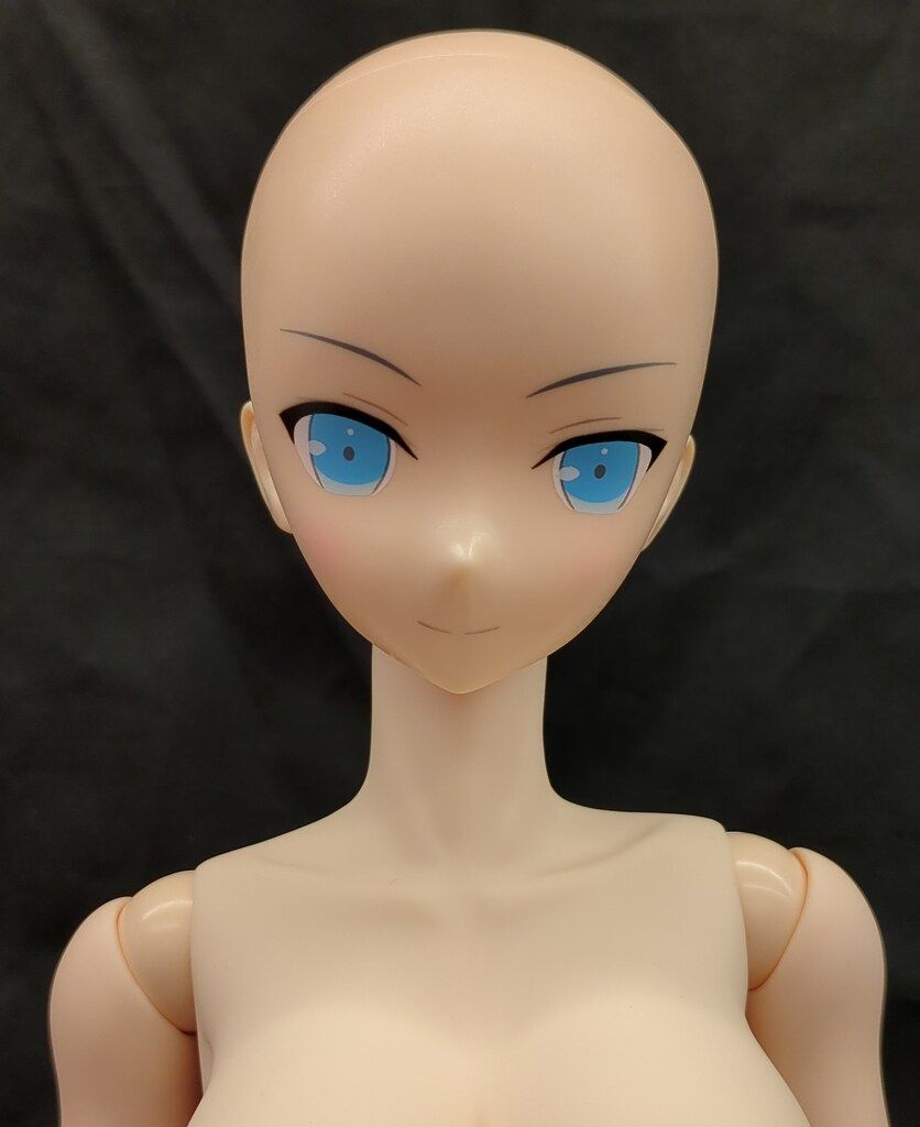 アゾン 1/3アナザーリアリスティックキャラクターズ 閃乱カグラSHINOVI　MASTER　-東京妖魔篇- 雪泉