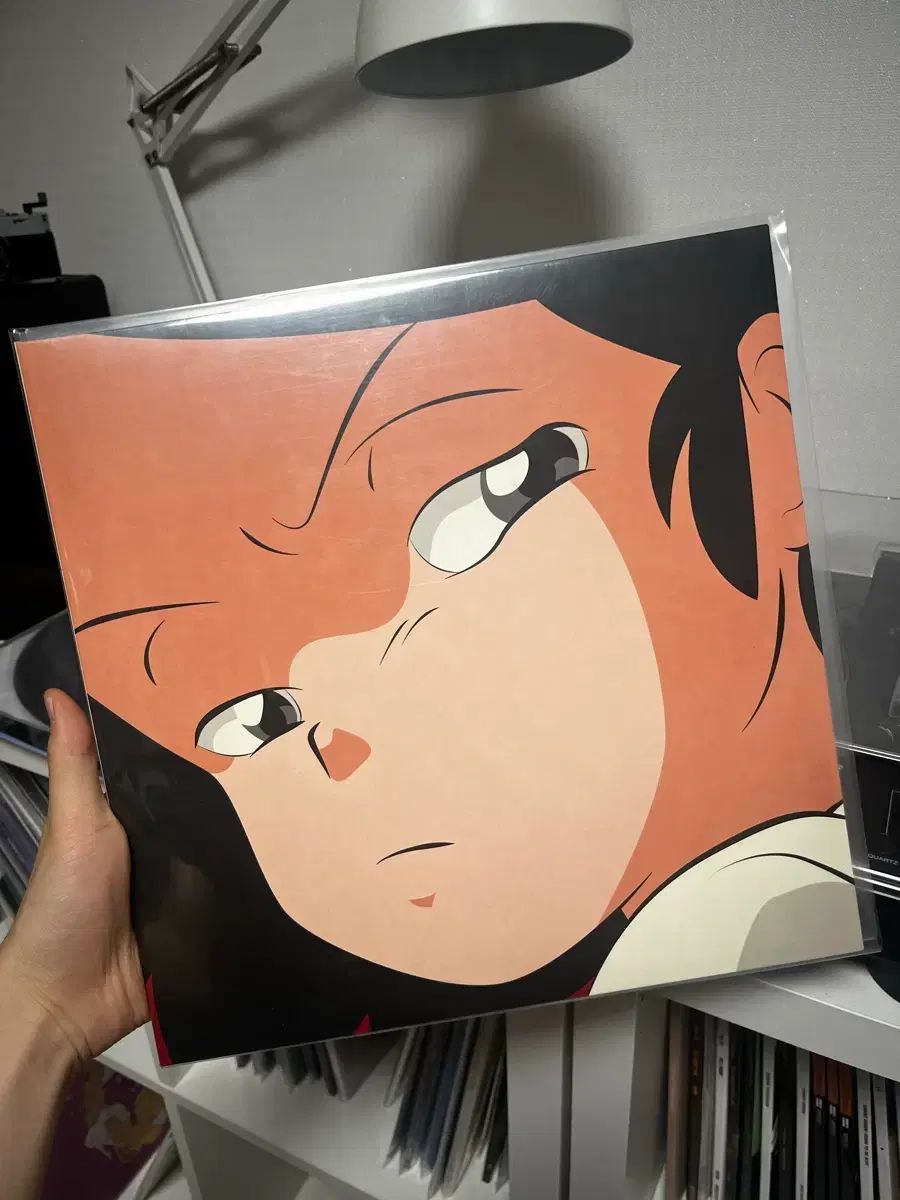 Adoy catnip lp 開梱 12,617円