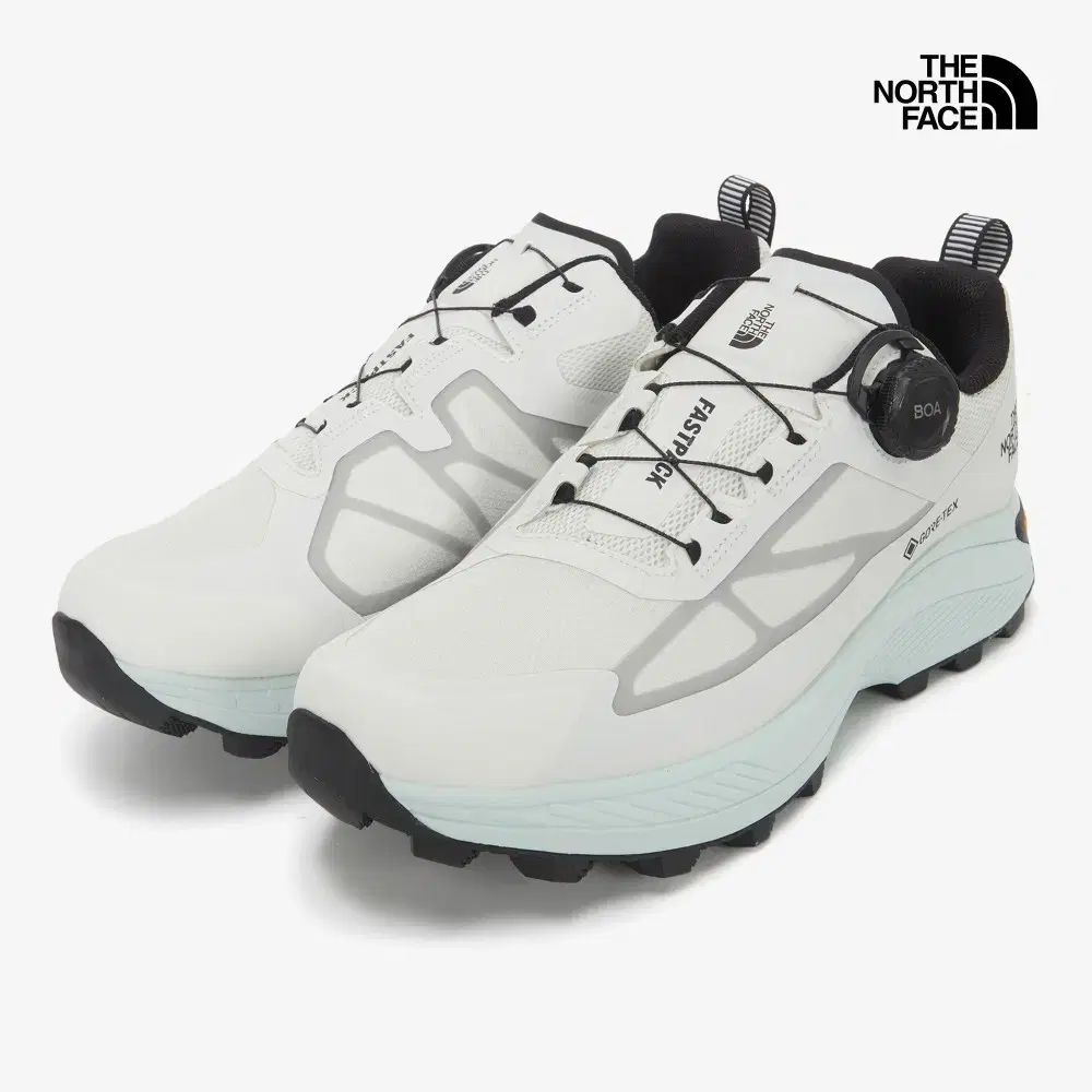 THE NORTH FACE ザノースフェイス RESONANCE pt.1 The Past Ver. パック BoA（ボア） ゴアテックス (280)