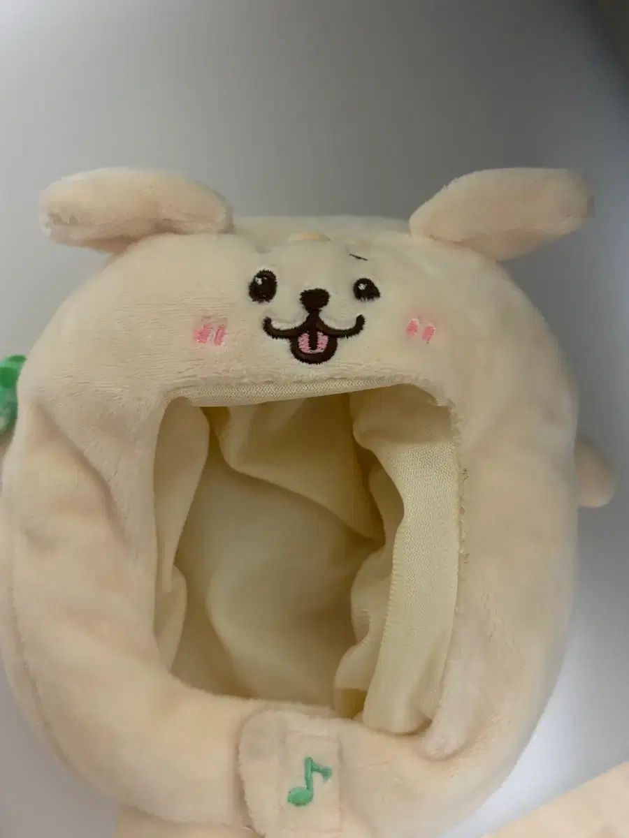 댕트리버 ケープ