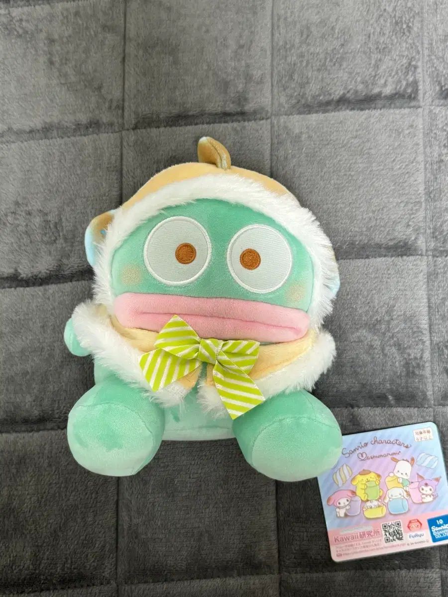 ケープ ハンギョドン IN