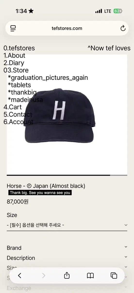 テフストアーズ 제펜 新品 M