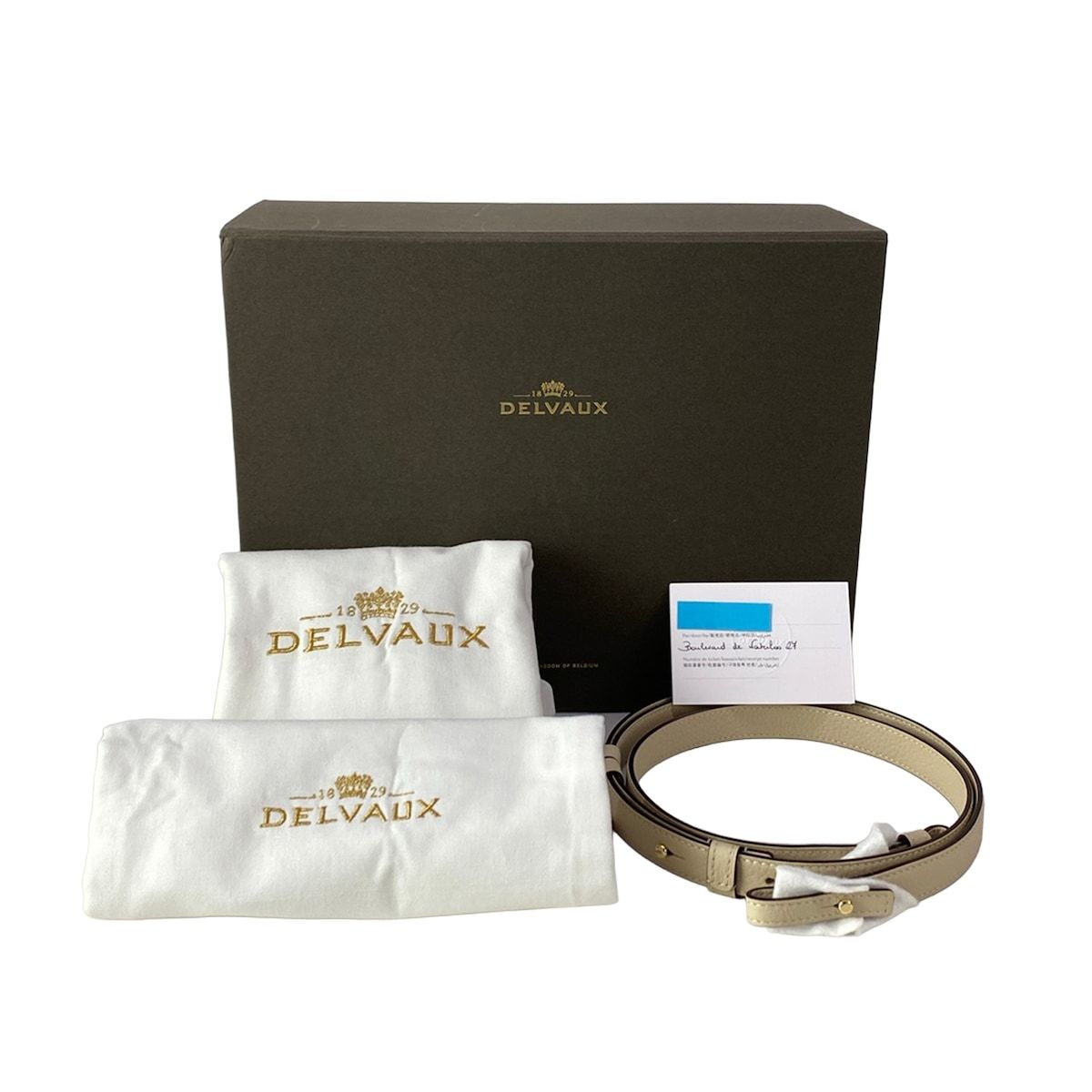 DELVAUX(デルボー) ハンドバッグ美品 クールボックス ミニ 