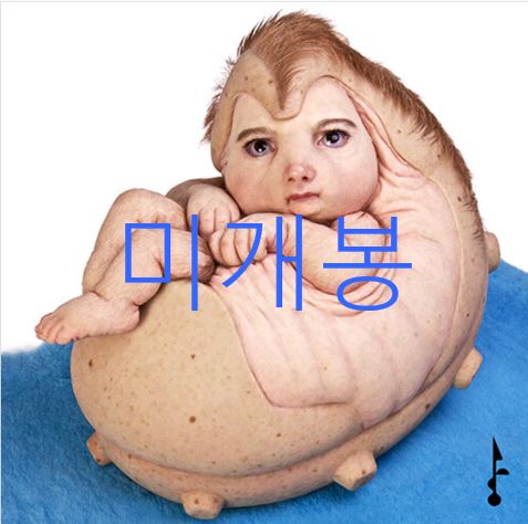 未開封 ファン・ソユン （ So YoON ） ー CD