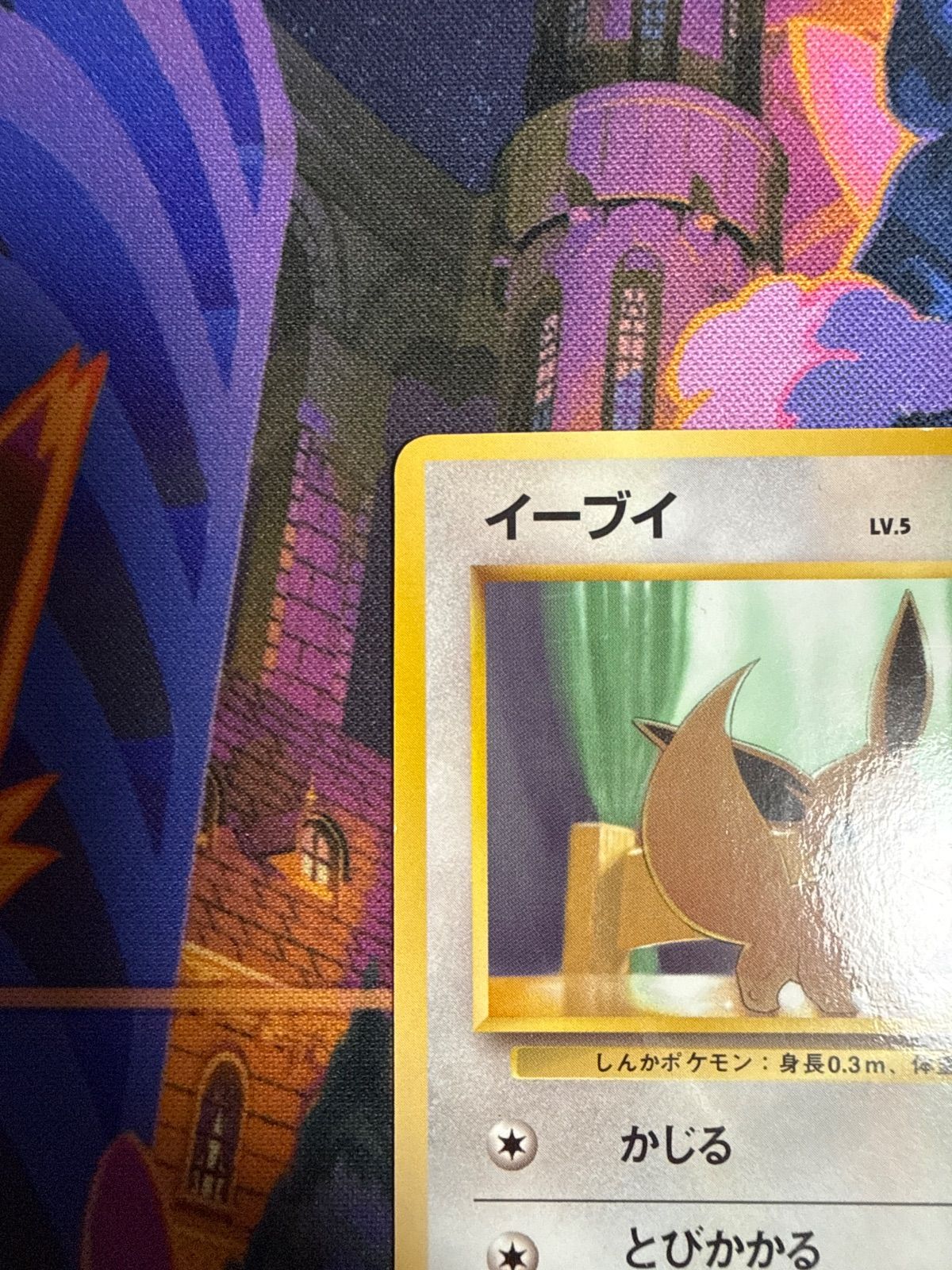 イーブイ LV.5 HP30 No.133 拡張シート第一弾(青版) 旧裏 ポケモン