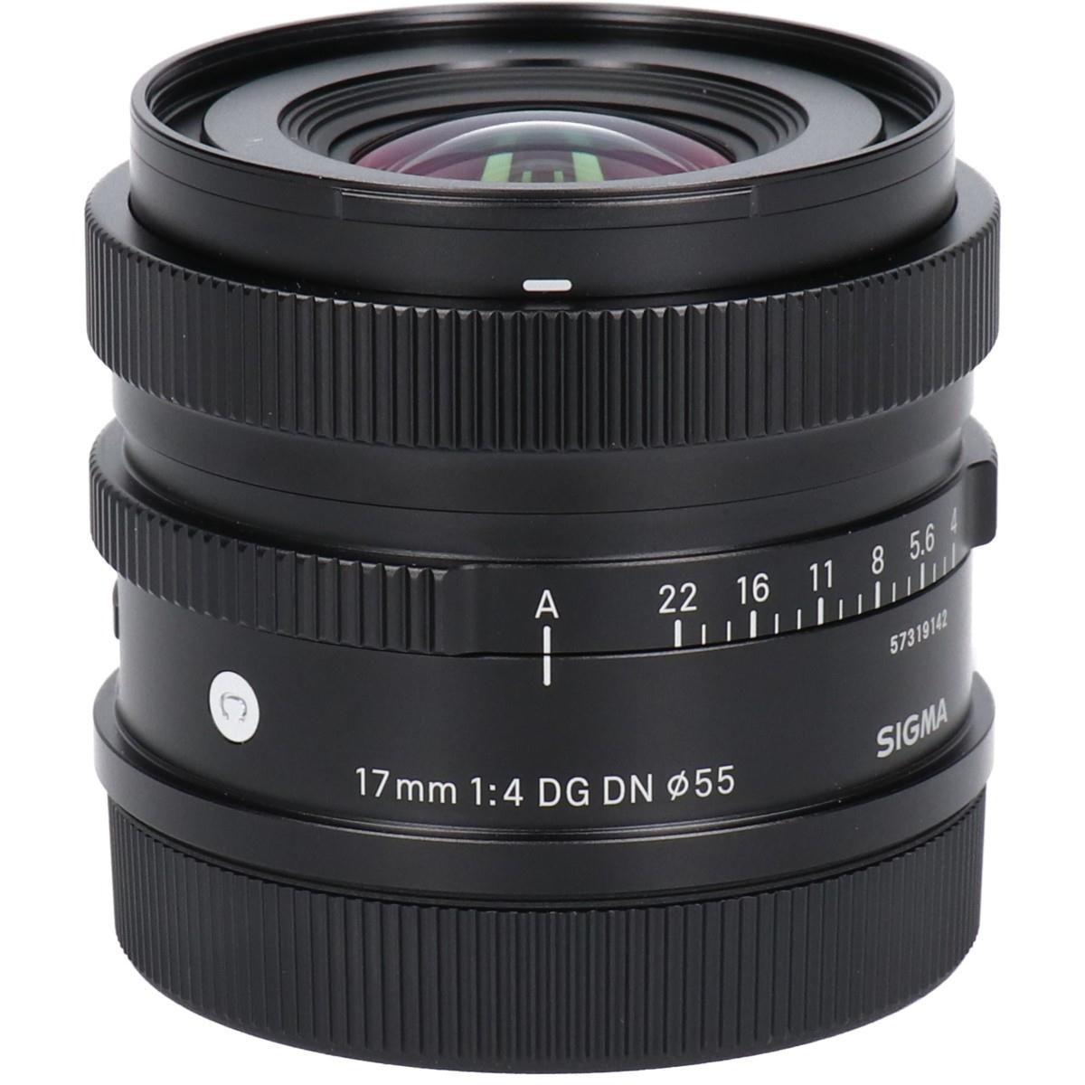 Ｌ（Ｃ）１７ｍｍ　Ｆ４ＤＧ　ＤＮ