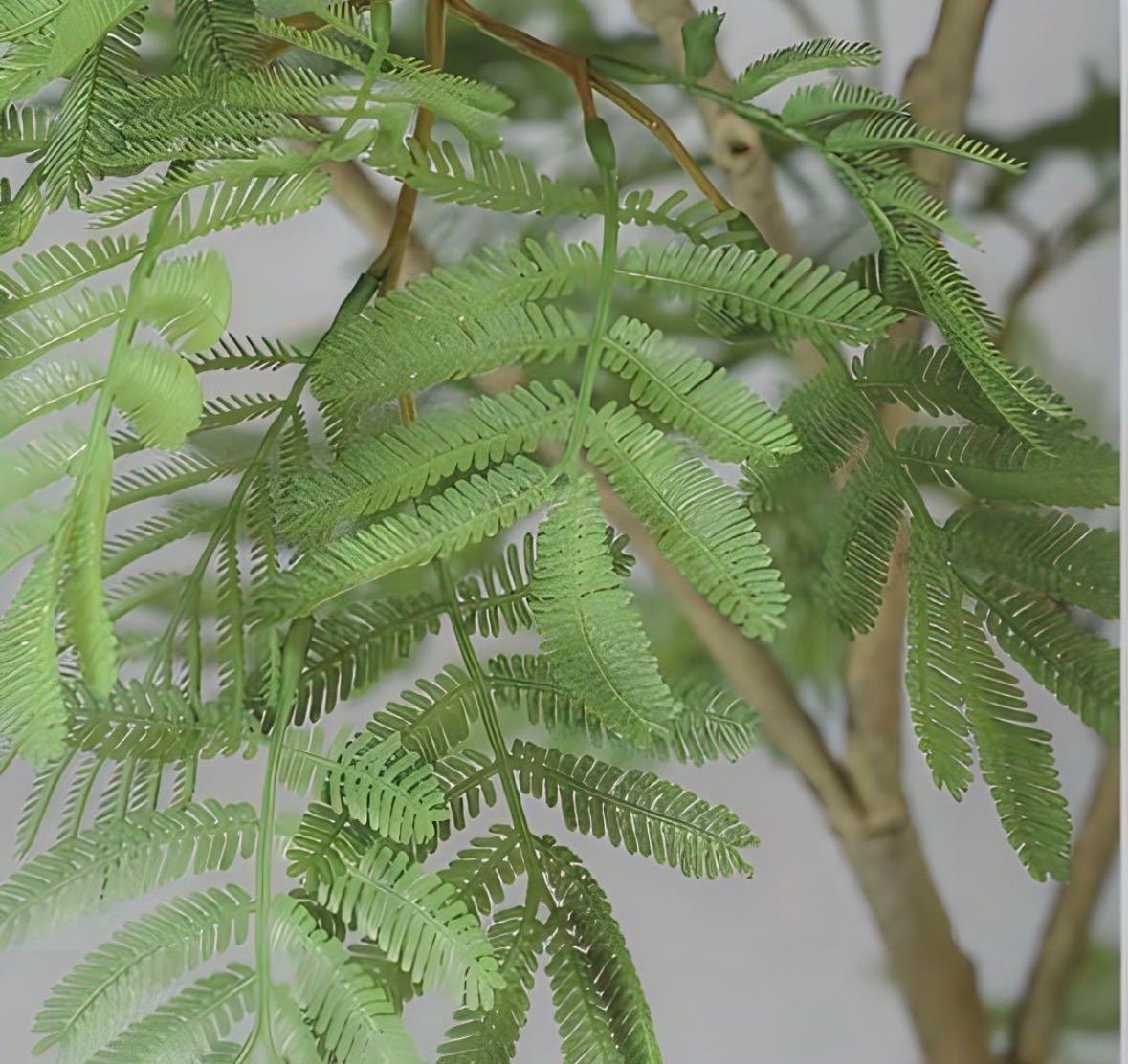 人工観葉・フェイクグリーン 光触媒 人工観葉植物 フェイクグリーン