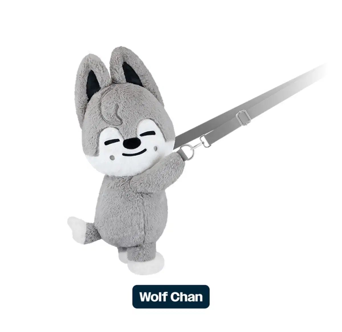 Stray Kids(ストレイキッズ・スキズ・SKZ) ドミネイト アンコールコンサート アンコン ウルフチャン(Wolf Chan) フラッシュ バック