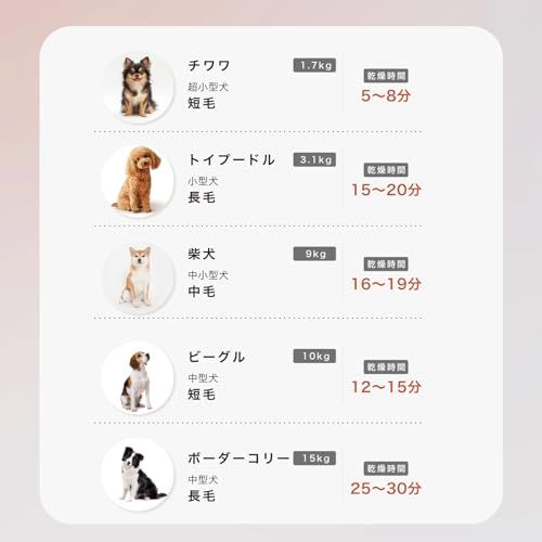 2025年グッドデザイン賞受賞】mino ペットドライヤー 小型・コンパクト