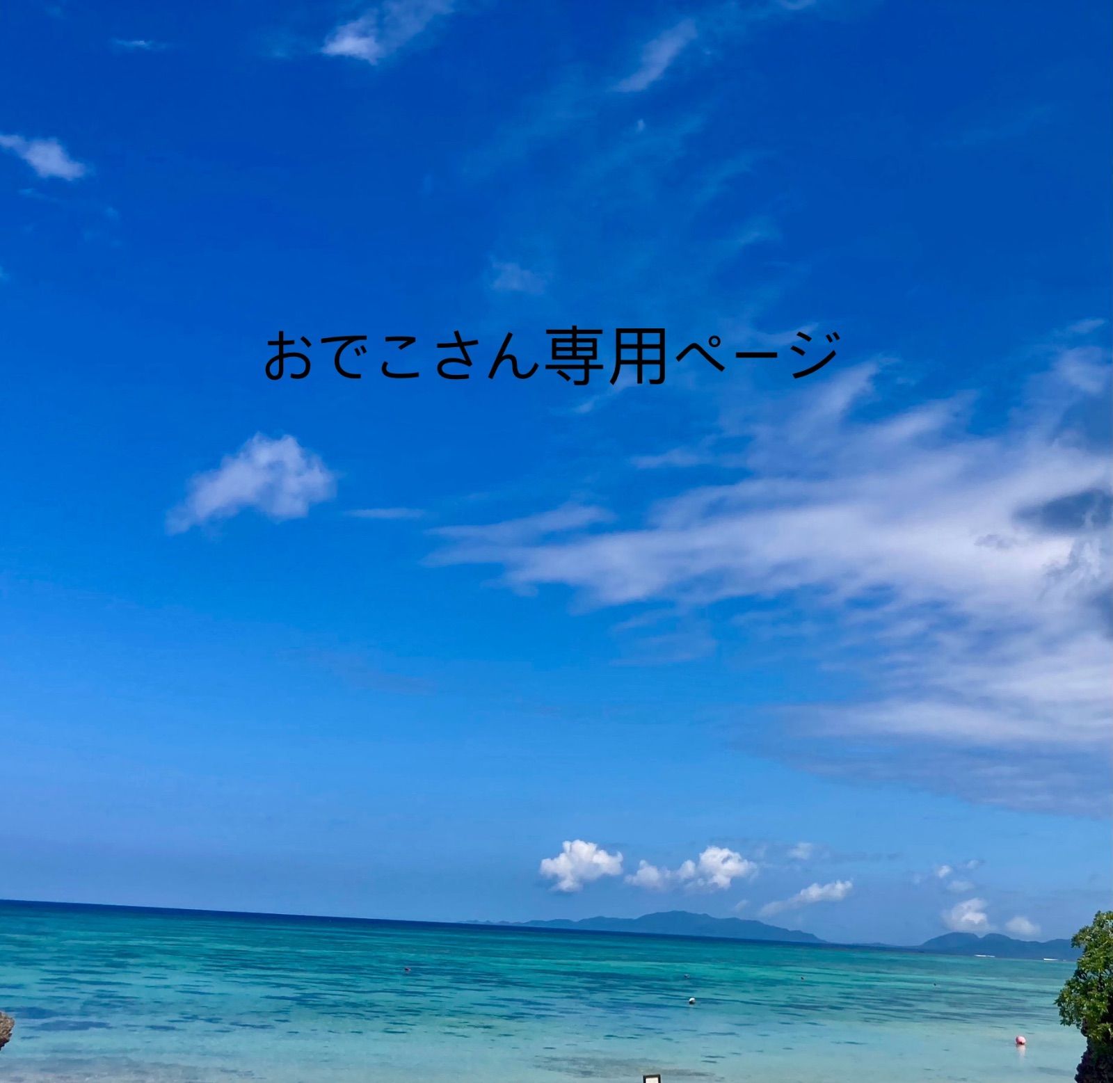 おでこさん専用ページ　ポジャギ用布モシ