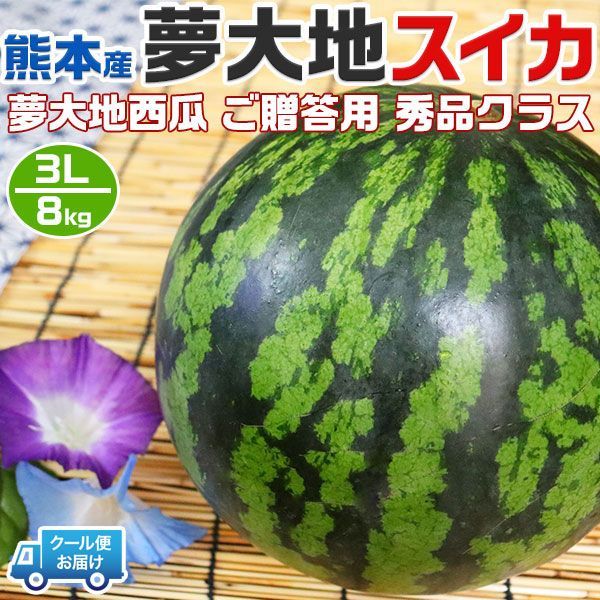 熊本産 夢大地 すいか 秀品 3Lサイズ 8kg 1玉入 【クール便指定】 熊本県産西瓜 贈答用 母の日 父の日 プレゼント フルーツ 果物 お中元 ギフト 西瓜