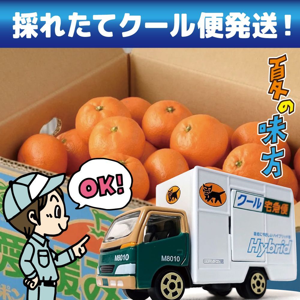おまかせ　かいしき　いろどり　クール便　みかん箱いっぱい　パーティー用 春の愛媛みかん 2kg 箱込 カラマンダリン/なつみ - メルカリ