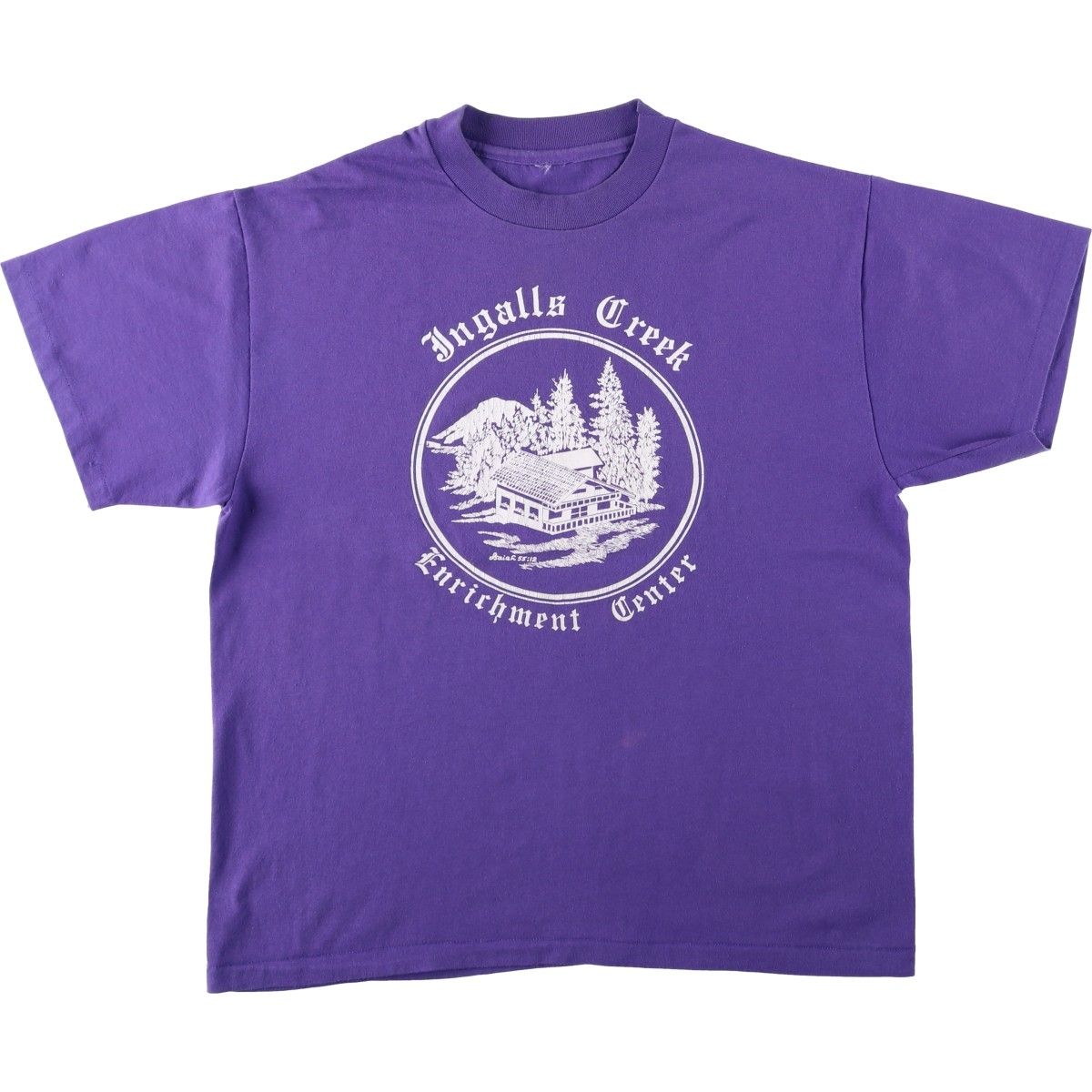 古着 90年代 プリントTシャツ メンズL相当 ヴィンテージ/eaa636662