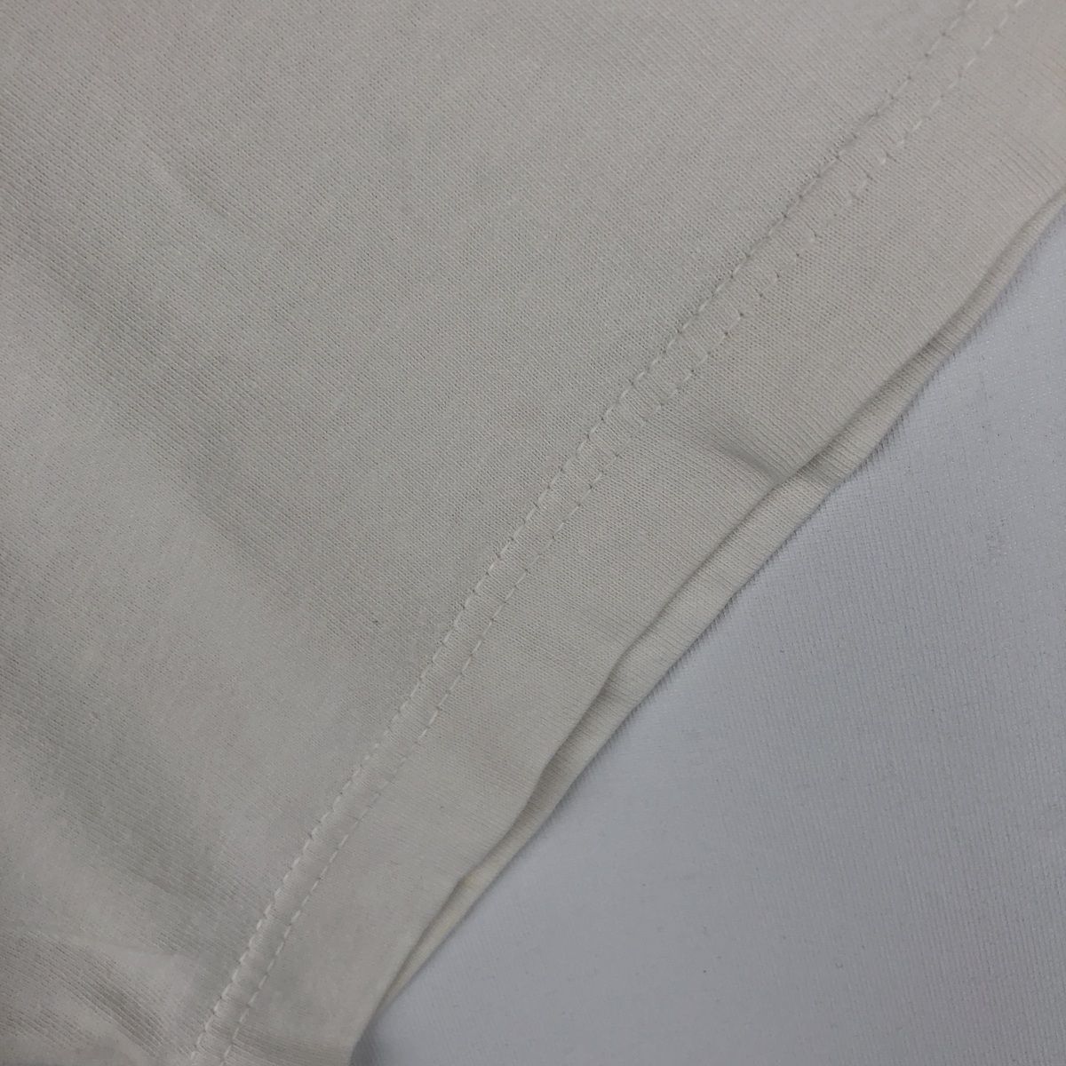古着 90年代 ヘインズ Hanes HEAVYWEIGHT アートTシャツ メンズXL相当 ヴィンテージ/eaa643213