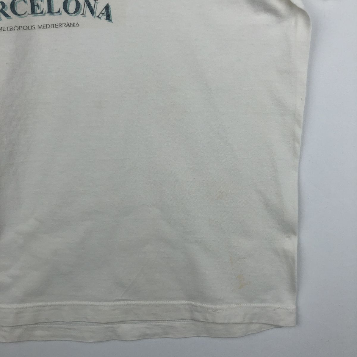 古着 90年代 ヘインズ Hanes HEAVYWEIGHT アートTシャツ メンズXL相当 ヴィンテージ/eaa643213