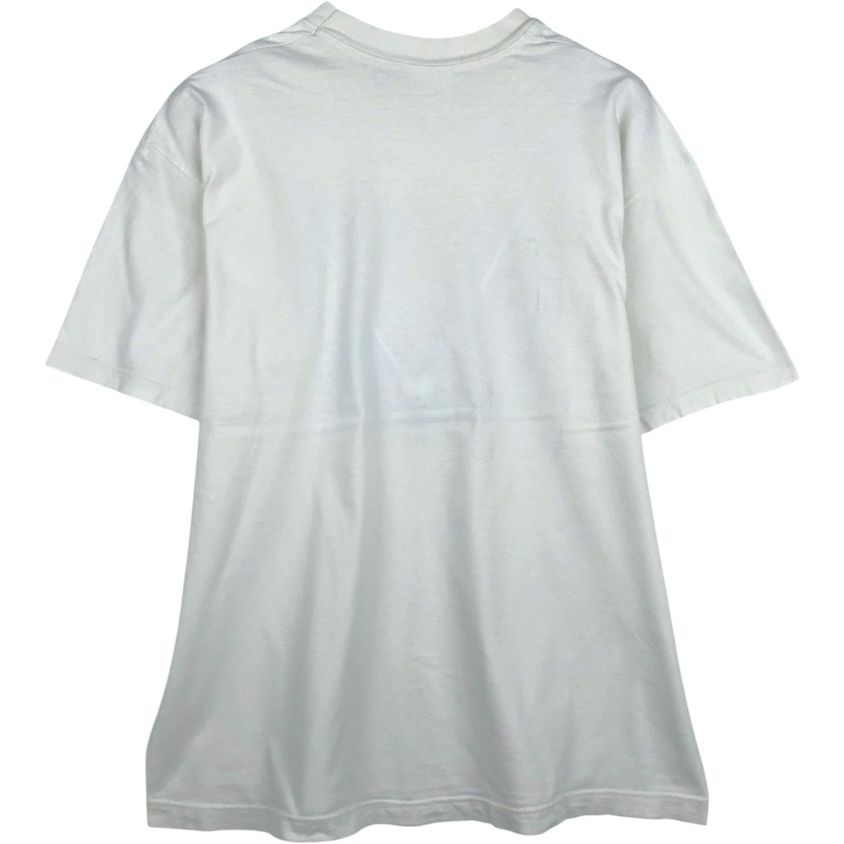 古着 90年代 ヘインズ Hanes HEAVYWEIGHT アートTシャツ メンズXL相当 ヴィンテージ/eaa643213