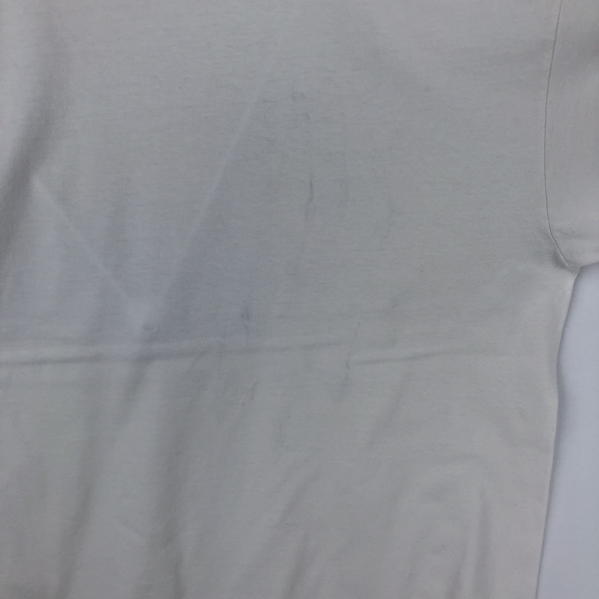 古着 90年代 ヘインズ Hanes HEAVYWEIGHT アートTシャツ メンズXL相当 ヴィンテージ/eaa643213