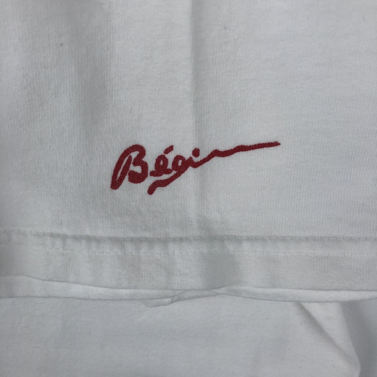 古着 90~00年代 フルーツオブザルーム FRUIT OF THE LOOM HEAVY cotton アートTシャツ メンズXL相当 ヴィンテージ/eaa643224 古着 90~00年代 フルーツオブザルーム FRUIT OF THE LOOM HEAVY cotton アートTシャツ メンズXL相当 ヴィンテージ/eaa643224