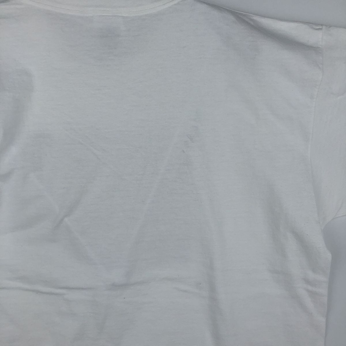 古着 90~00年代 フルーツオブザルーム FRUIT OF THE LOOM HEAVY cotton アートTシャツ メンズXL相当 ヴィンテージ/eaa643224 古着 90~00年代 フルーツオブザルーム FRUIT OF THE LOOM HEAVY cotton アートTシャツ メンズXL相当 ヴィンテージ/eaa643224