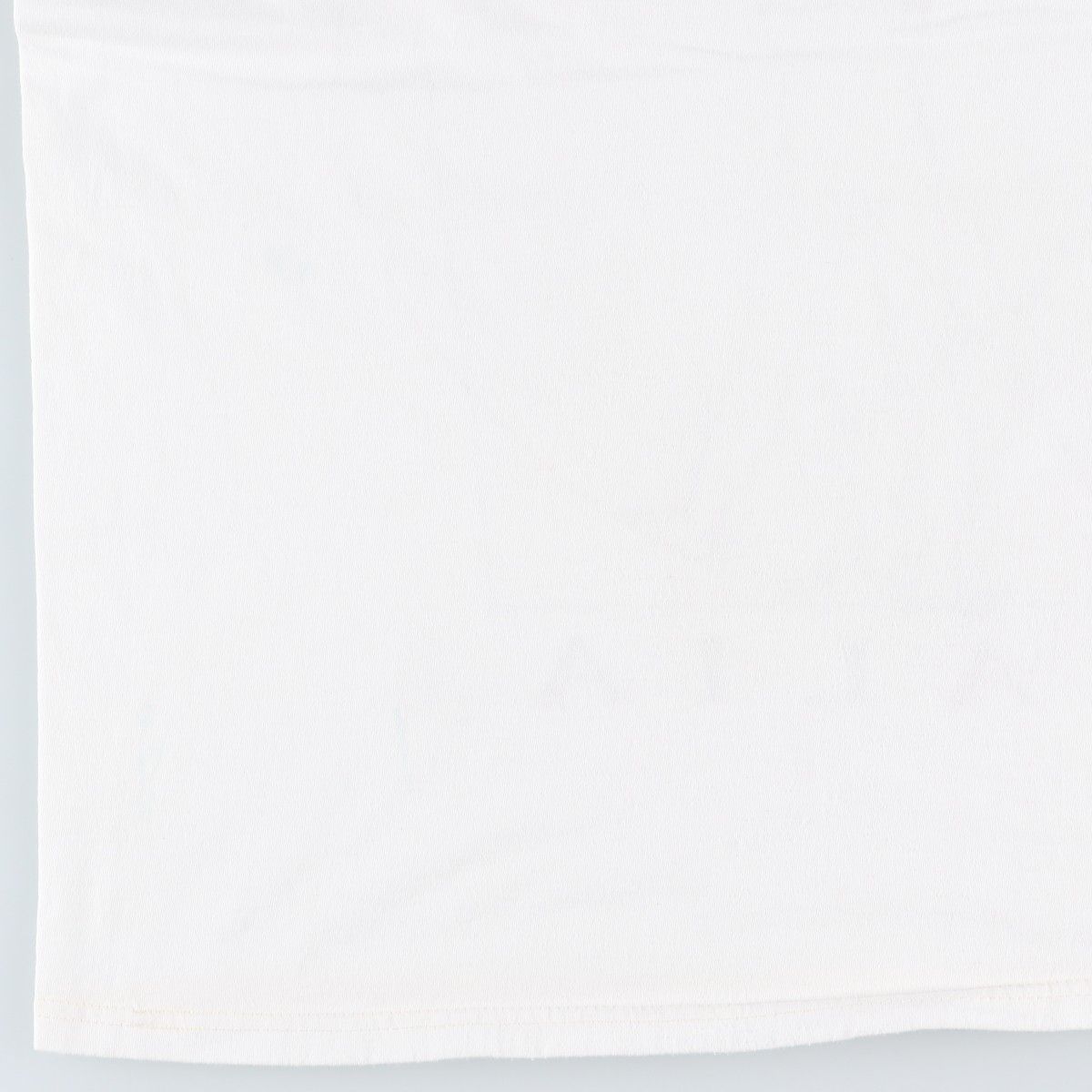 古着 フルーツオブザルーム FRUIT OF THE LOOM プリントTシャツ メンズXL相当/eaa642209
