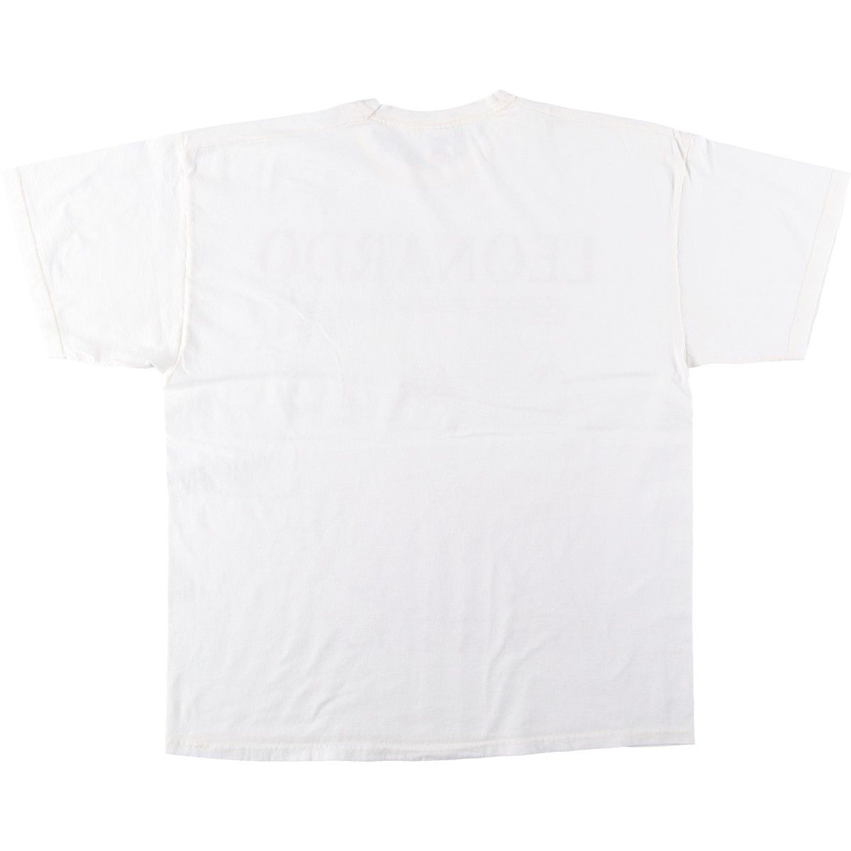 古着 フルーツオブザルーム FRUIT OF THE LOOM プリントTシャツ メンズXL相当/eaa642209