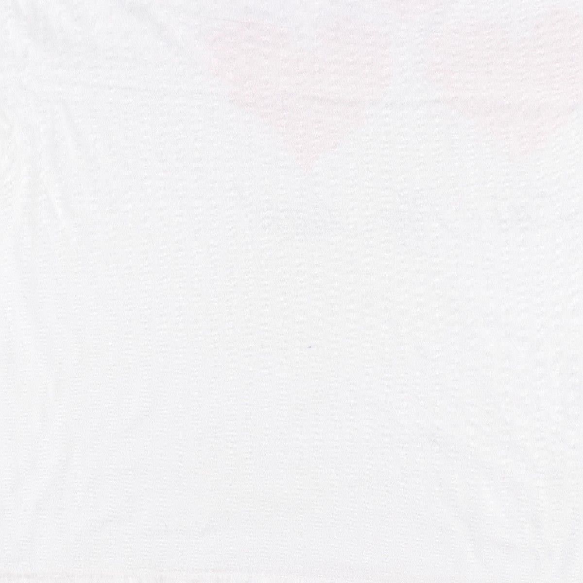 古着 プリントTシャツ メンズXL相当/eaa642210