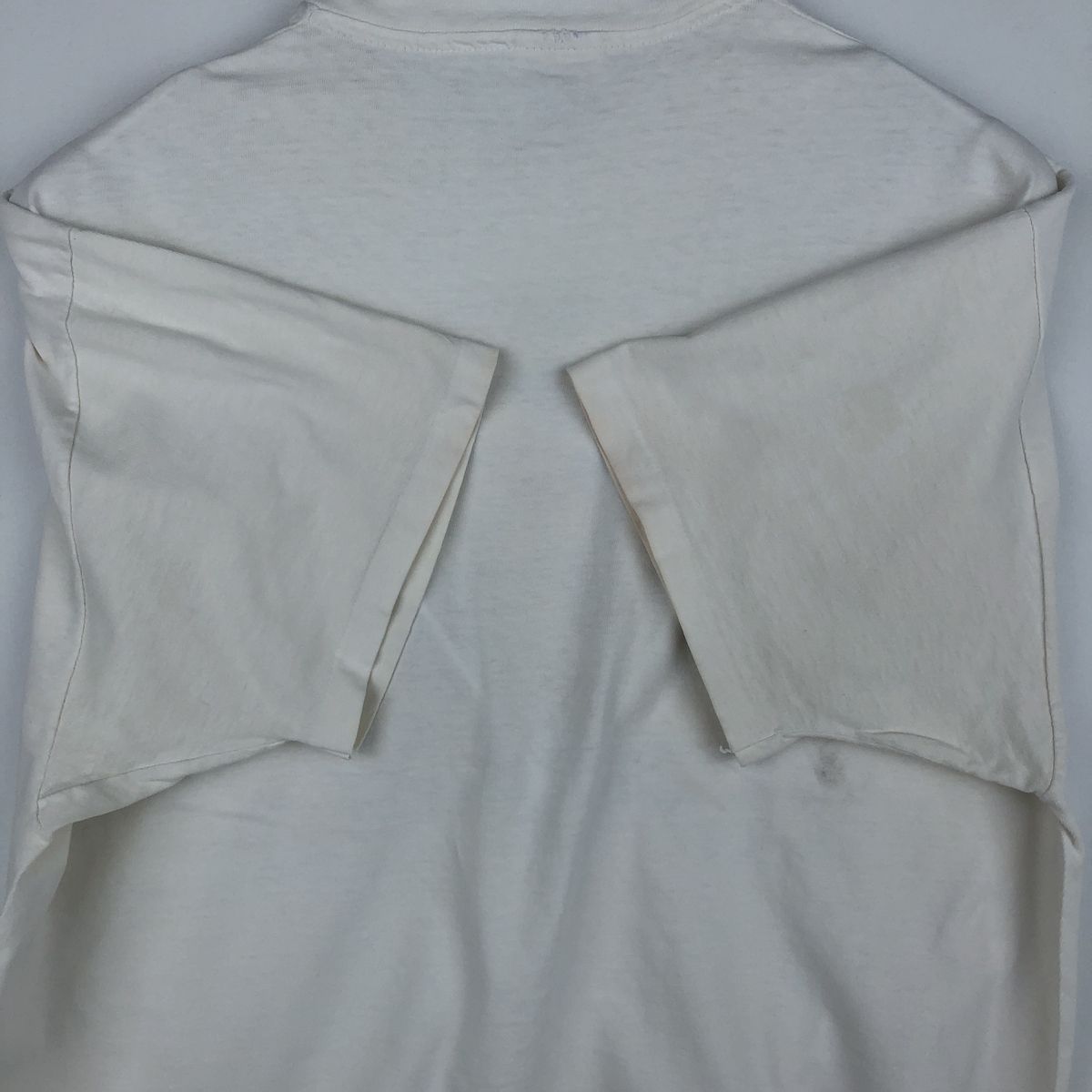 古着 90年代 ヘインズ Hanes BEEFY-T アートTシャツ USA製 メンズXL相当 ヴィンテージ/eaa643222 古着 90年代 ヘインズ Hanes BEEFY-T アートTシャツ USA製 メンズXL相当 ヴィンテージ/eaa643222