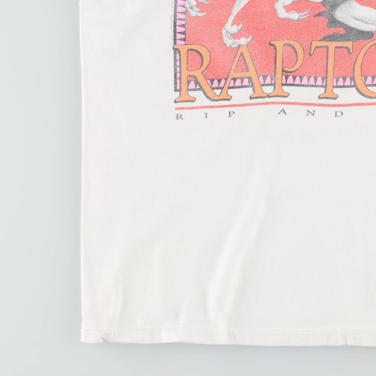 古着 90年代 オニータ ONEITA POWER-T LIFEFORMS 恐竜柄 プリントTシャツ メンズL相当/eaa642161 古着 90年代 オニータ ONEITA POWER-T LIFEFORMS 恐竜柄 プリントTシャツ メンズL相当/eaa642161