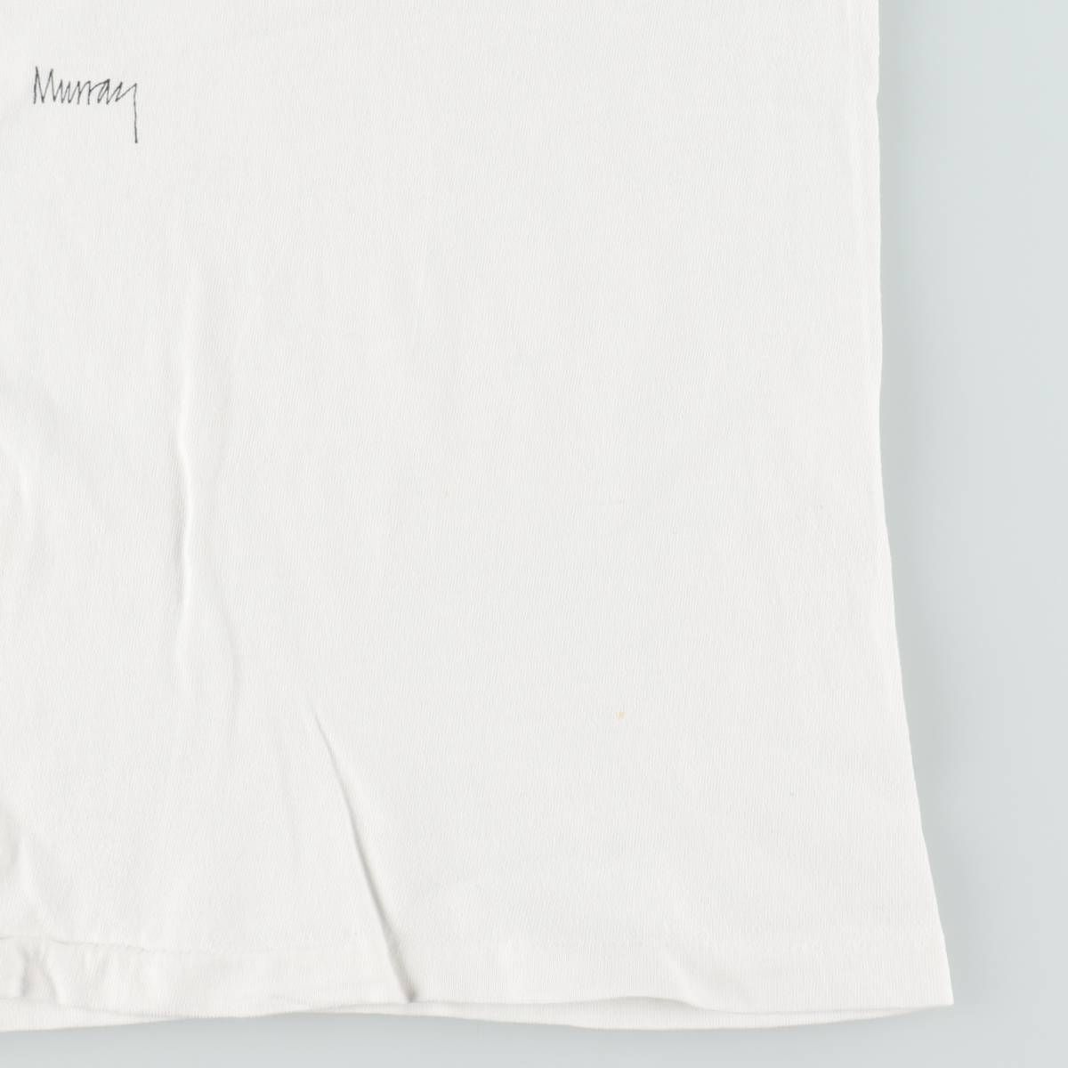 古着 90年代 ヘインズ Hanes BEEFY-T プリントTシャツ USA製 メンズL相当 ヴィンテージ/eaa642197