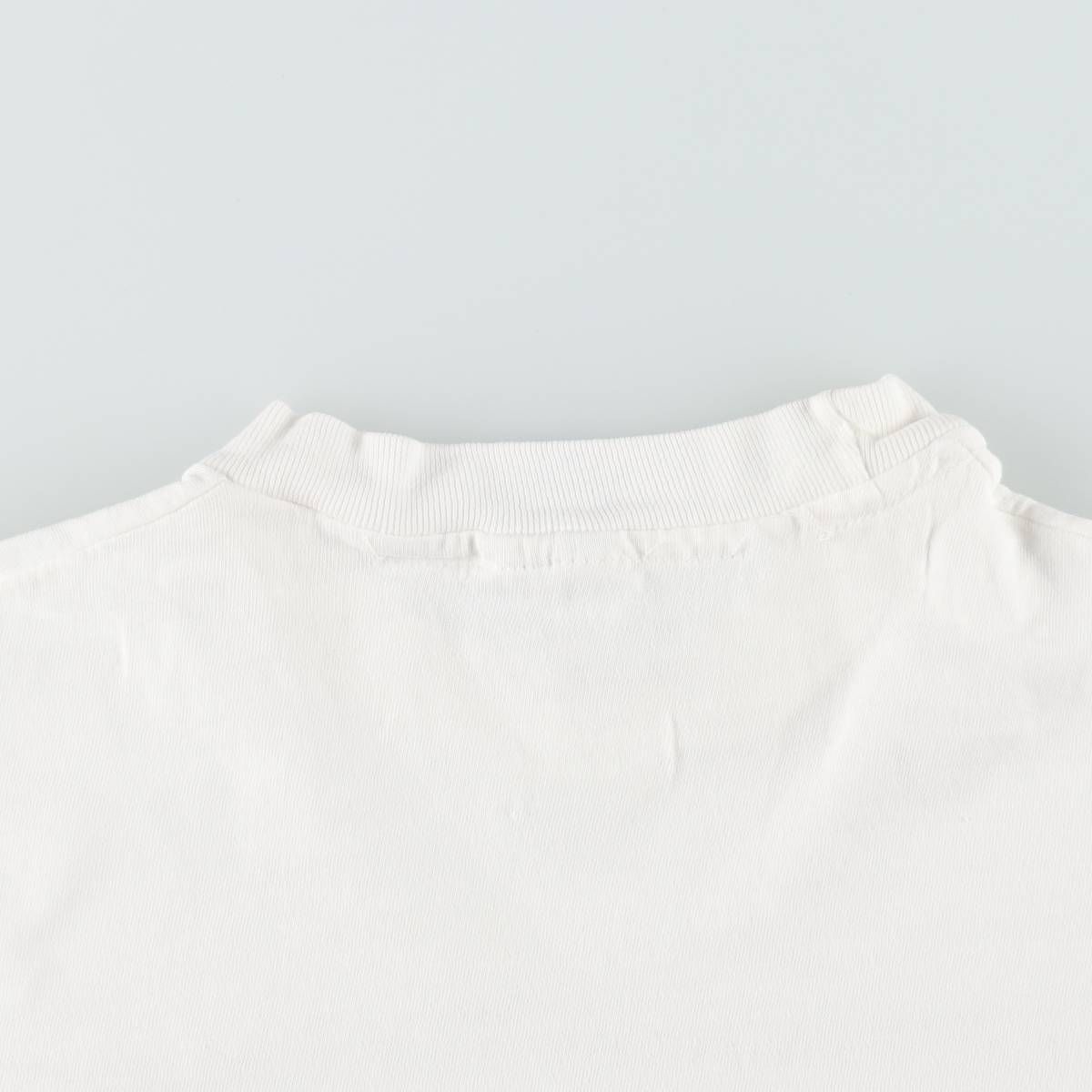 古着 90年代 ヘインズ Hanes BEEFY-T プリントTシャツ USA製 メンズL相当 ヴィンテージ/eaa642197