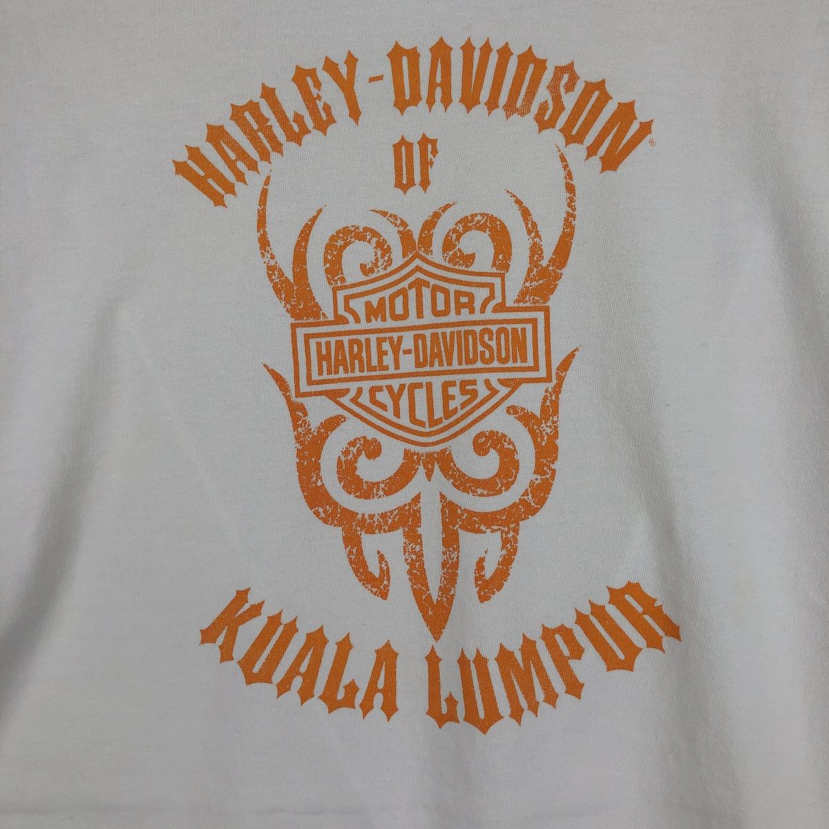 古着 ハーレーダビッドソン Harley-Davidson トライバル モーターサイクル バイクTシャツ メンズL相当/eaa636982